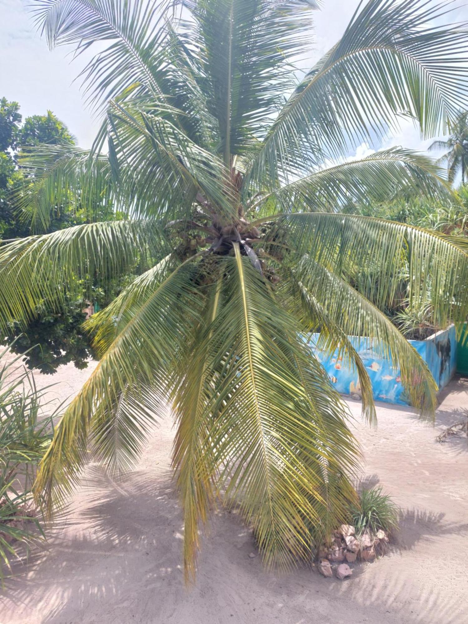 Princess Of Zanzibar Michamvi Eksteriør billede
